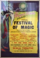 Festival of Magic (Plakat)