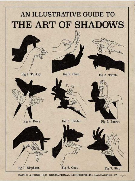 Datei:Handshadow.jpg